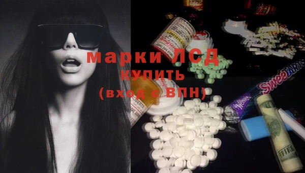 spice Медвежьегорск
