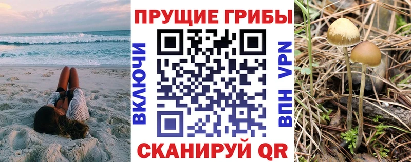 hydra ONION  Шарыпово  Галлюциногенные грибы Cubensis 